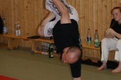 sommerschule_2013_blankenheim_-_jiu-jutsu_20130806_1384176956