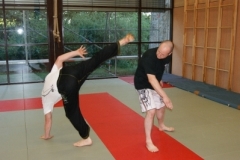 sommerschule_2013_blankenheim_-_jiu-jutsu_20130806_1386588066