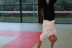 sommerschule_2013_blankenheim_-_jiu-jutsu_20130806_1397330844