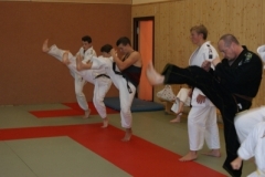 sommerschule_2013_blankenheim_-_jiu-jutsu_20130806_1407089035