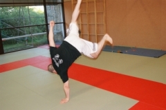 sommerschule_2013_blankenheim_-_jiu-jutsu_20130806_1471127700