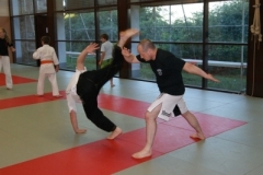 sommerschule_2013_blankenheim_-_jiu-jutsu_20130806_1511135341