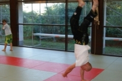 sommerschule_2013_blankenheim_-_jiu-jutsu_20130806_1519688060