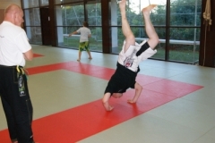 sommerschule_2013_blankenheim_-_jiu-jutsu_20130806_1532817198