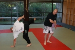 sommerschule_2013_blankenheim_-_jiu-jutsu_20130806_1546694147