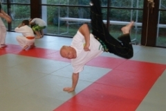 sommerschule_2013_blankenheim_-_jiu-jutsu_20130806_1556118729