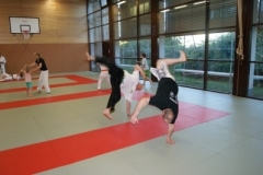 sommerschule_2013_blankenheim_-_jiu-jutsu_20130806_1591195377