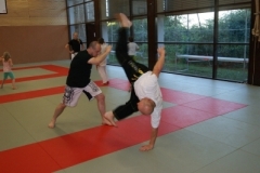 sommerschule_2013_blankenheim_-_jiu-jutsu_20130806_1597118003
