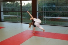 sommerschule_2013_blankenheim_-_jiu-jutsu_20130806_1625937712