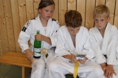 sommerschule_2013_blankenheim_-_jiu-jutsu_20130806_1634973569