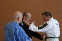 sommerschule_2013_blankenheim_-_jiu-jutsu_20130806_1679729675