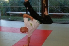 sommerschule_2013_blankenheim_-_jiu-jutsu_20130806_1692265154
