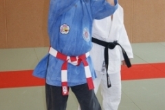 sommerschule_2013_blankenheim_-_jiu-jutsu_20130806_1719773821