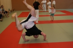 sommerschule_2013_blankenheim_-_jiu-jutsu_20130806_1726904800