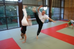 sommerschule_2013_blankenheim_-_jiu-jutsu_20130806_1736253585