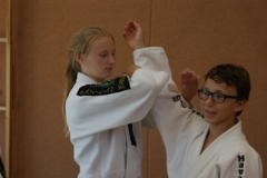 sommerschule_2013_blankenheim_-_jiu-jutsu_20130806_1767615874