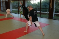 sommerschule_2013_blankenheim_-_jiu-jutsu_20130806_1798700568