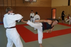 sommerschule_2013_blankenheim_-_jiu-jutsu_20130806_1800321553