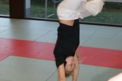 sommerschule_2013_blankenheim_-_jiu-jutsu_20130806_1838717033