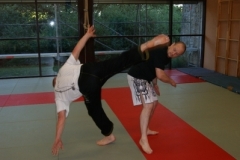 sommerschule_2013_blankenheim_-_jiu-jutsu_20130806_1964177538