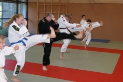 sommerschule_2013_blankenheim_-_jiu-jutsu_20130806_1965753767