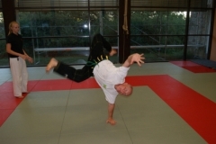 sommerschule_2013_blankenheim_-_jiu-jutsu_20130806_2054921241