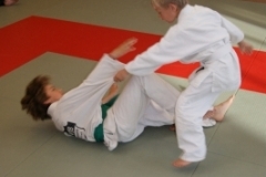 sommerschule_2013_blankenheim_-_judo_20130806_1076469947