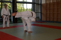sommerschule_2013_blankenheim_-_judo_20130806_1211882407