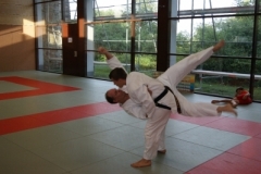 sommerschule_2013_blankenheim_-_judo_20130806_1284407537