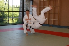 sommerschule_2013_blankenheim_-_judo_20130806_1309406751