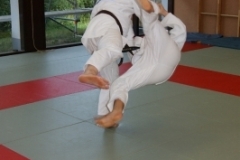 sommerschule_2013_blankenheim_-_judo_20130806_1334270438