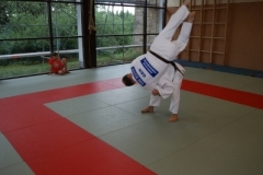 sommerschule_2013_blankenheim_-_judo_20130806_1596695318