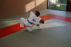 sommerschule_2013_blankenheim_-_judo_20130806_1833534711