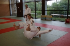 sommerschule_2013_blankenheim_-_judo_20130806_2033349394