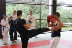 sommerschule_2013_blankenheim_-_kickboxen_20130806_1055537385