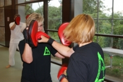 sommerschule_2013_blankenheim_-_kickboxen_20130806_1127413482