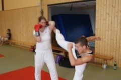 sommerschule_2013_blankenheim_-_kickboxen_20130806_1206728011