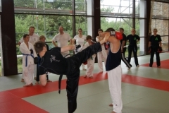 sommerschule_2013_blankenheim_-_kickboxen_20130806_1240395070