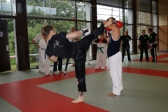 sommerschule_2013_blankenheim_-_kickboxen_20130806_1266260279