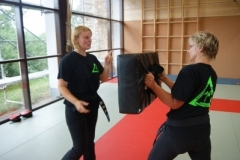 sommerschule_2013_blankenheim_-_kickboxen_20130806_1324287715