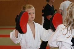 sommerschule_2013_blankenheim_-_kickboxen_20130806_1643774845