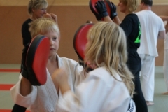 sommerschule_2013_blankenheim_-_kickboxen_20130806_1739655531