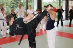 sommerschule_2013_blankenheim_-_kickboxen_20130806_1806756505