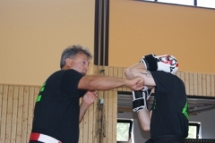 sommerschule_2013_blankenheim_-_kickboxen_20130806_1817102853