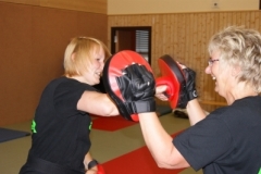 sommerschule_2013_blankenheim_-_kickboxen_20130806_1894191634