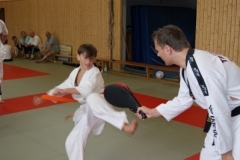 sommerschule_2013_blankenheim_-_taekwondo_20130806_1006621697