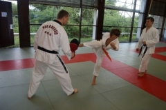 sommerschule_2013_blankenheim_-_taekwondo_20130806_1133761110