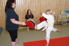 sommerschule_2013_blankenheim_-_taekwondo_20130806_1268269434