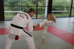 sommerschule_2013_blankenheim_-_taekwondo_20130806_1323378263