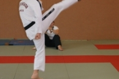 sommerschule_2013_blankenheim_-_taekwondo_20130806_1405623741